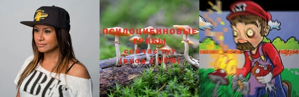 эйфоретик Каменногорск