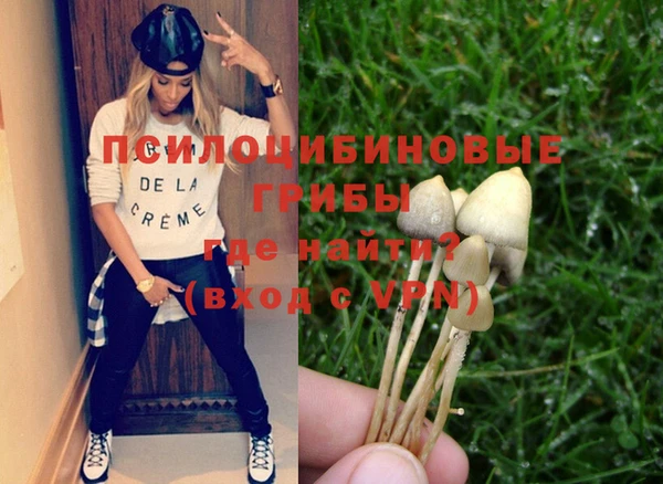 эйфоретик Каменногорск