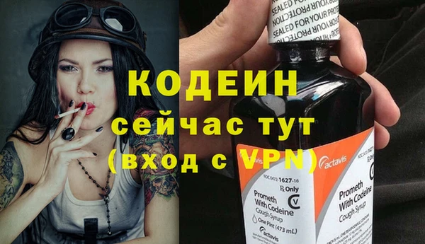 первитин Каменка