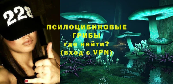 эйфоретик Каменногорск