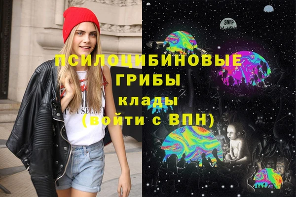 эйфоретик Каменногорск