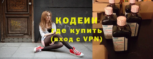 первитин Каменка